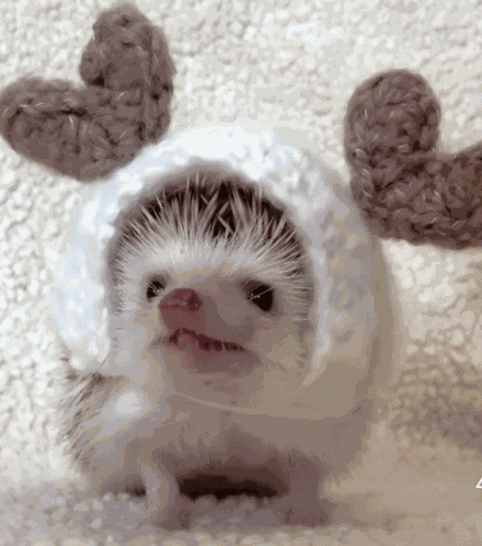 Funny Face GIF