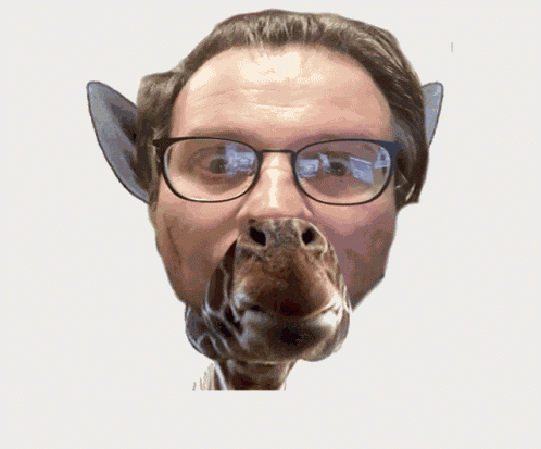 Funny Giraffe Giraffe Man GIF