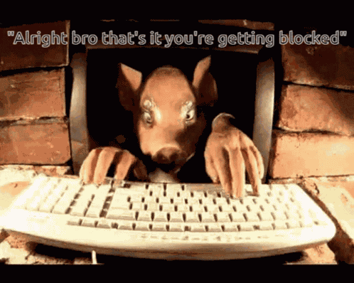 Funny Keyboardwarrior GIF