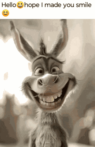 Funny Memes Happy Sunday Meme