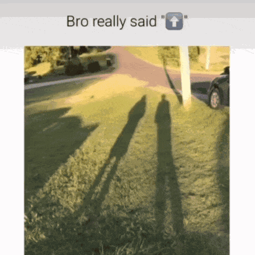 Funny Memes GIF