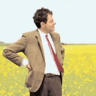 Funny GIF