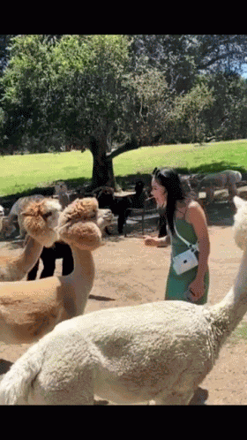 Funny Smile GIF