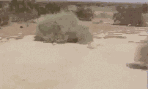 Funny Thank GIF