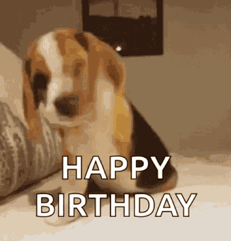 Funny GIF