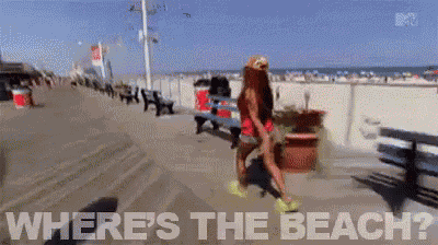 Funny GIF