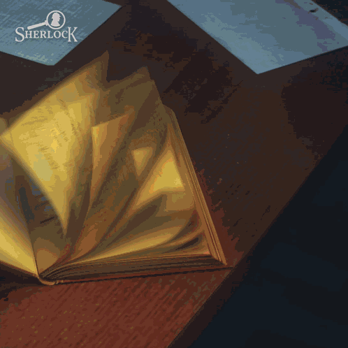 G5 Games Sherlock Hidden Cases GIF
