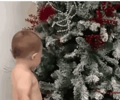 Gabrielgomescunha GIF