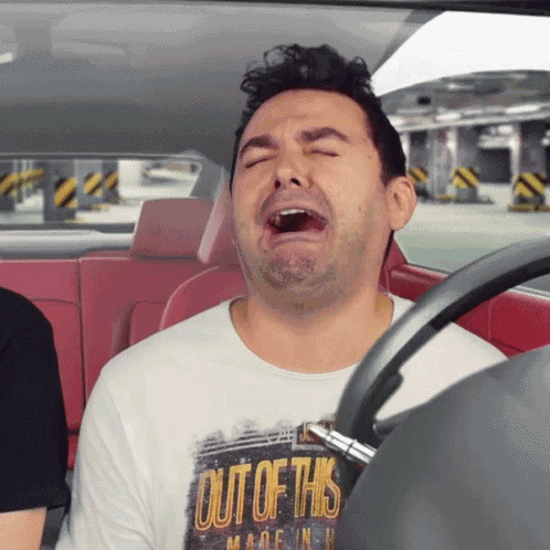 Galo Frito Humor GIF