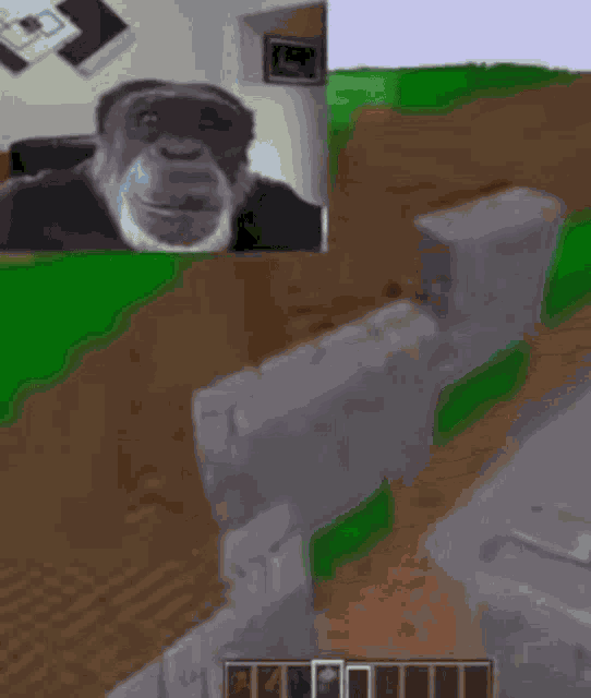 Gaming Monkey GIF