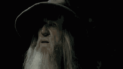 Gandalf Forgot GIF