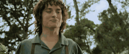 Gandalf Frodo GIF