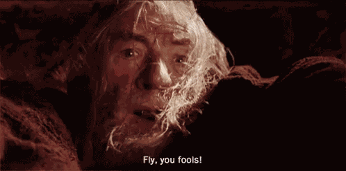 Gandalf Lotr GIF