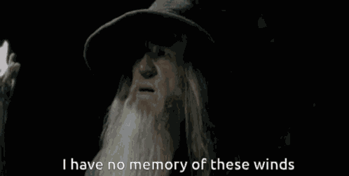 Gandalf No Memory GIF