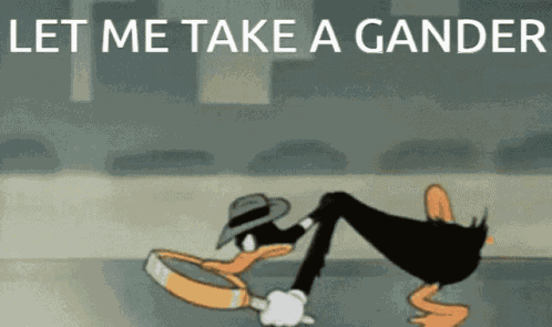 Gander Looksie GIF