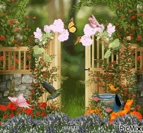 Garden Butterfly GIF