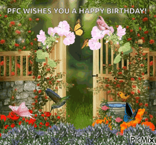 Garden Butterfly GIF