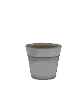 Garden Plants Sticker