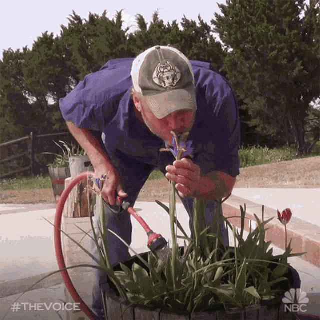 Garderner Blake Shelton GIF