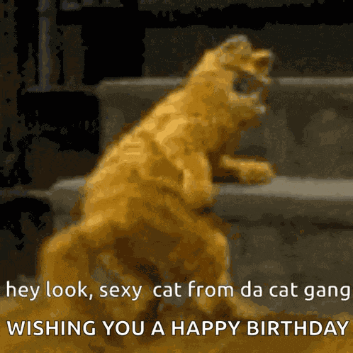 Garfield Cat Gang GIF