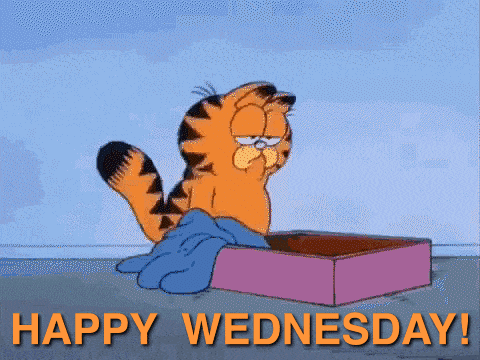 Garfield Happy Wednesday GIF