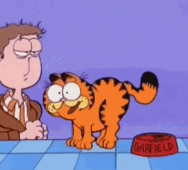Garfield Jumping For Joy GIF