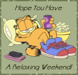 Garfield Relaxing Weekend GIF