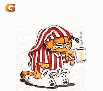 Garfield Sagt Guten Morgen - Guten Morgen GIF