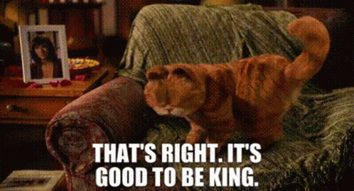 Garfield Thats Right Its Good To Be King GIF