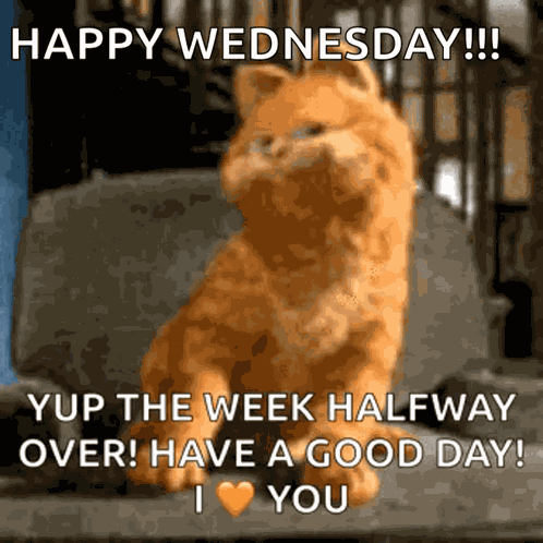 Garfield GIF