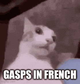 Gasp French GIF