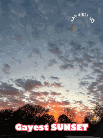 Gay And Proud Gay Rights Ally GIF