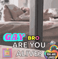 Gay Bros Gay Bears GIF