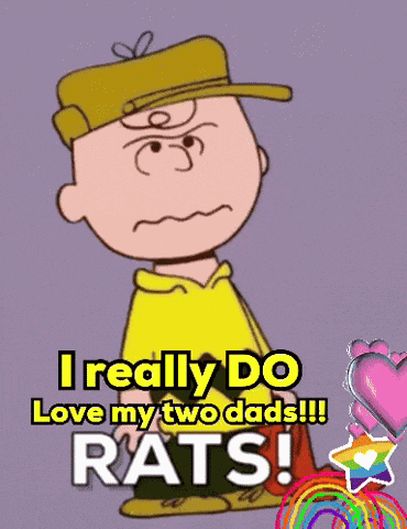 Gay Funny Funny Gays GIF