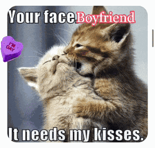 Gay Love Gay Relationships GIF