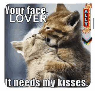 Gay Love Lovers GIF
