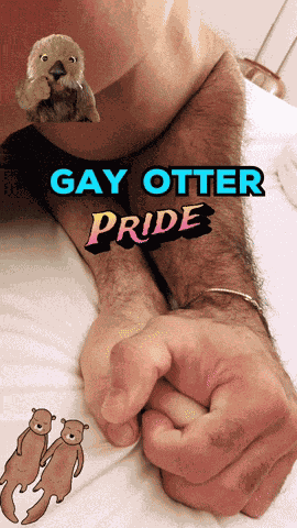 Gay Otter Gay Otters GIF