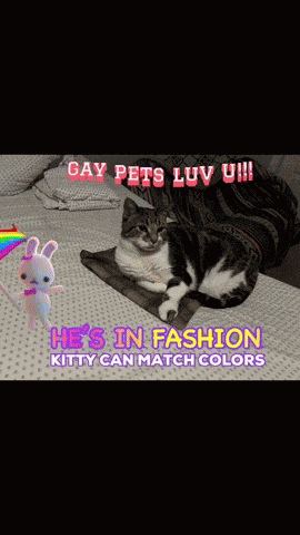 Gay Pride Lgbtq Positivity GIF