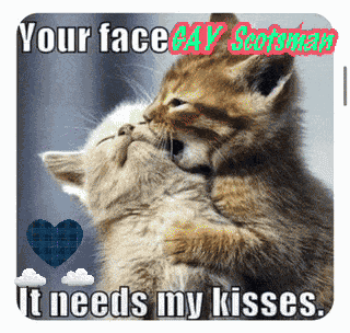 Gay Scotland Scottish GIF