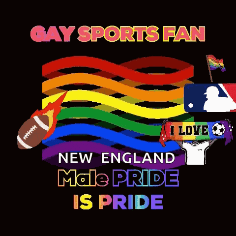 Gay Vermont Gay New York GIF