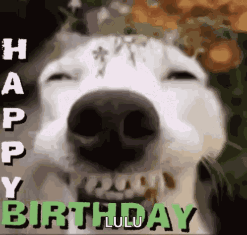 Geburtstag Happy Birthday GIF