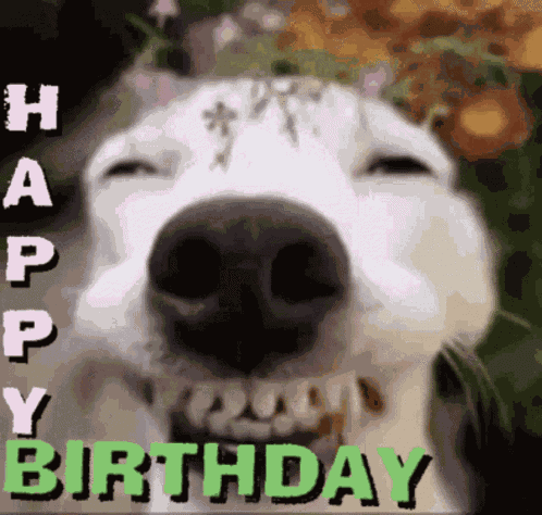 Geburtstag Happy Birthday GIF