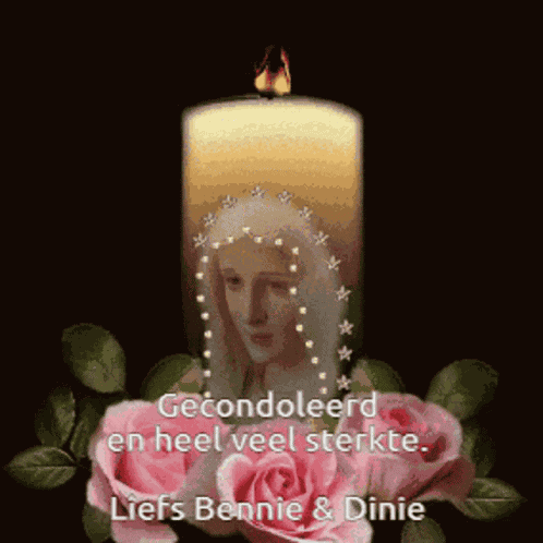 Gecondoleerd Dinie GIF
