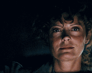 Geena Davis & Susan Sarandon Thelma And Louise GIF