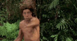 George Of The Jungle George Vs Lion GIF