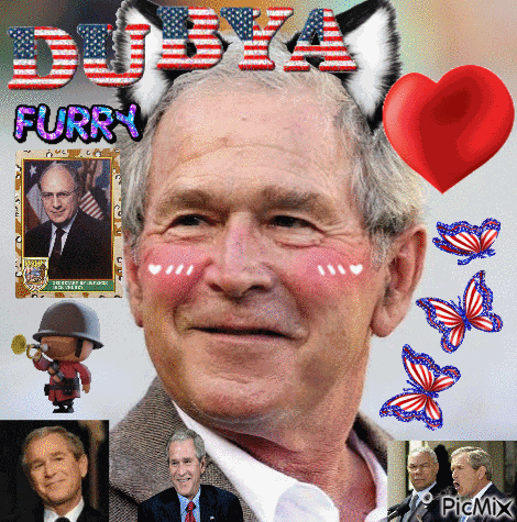 George W Bush Dubya GIF