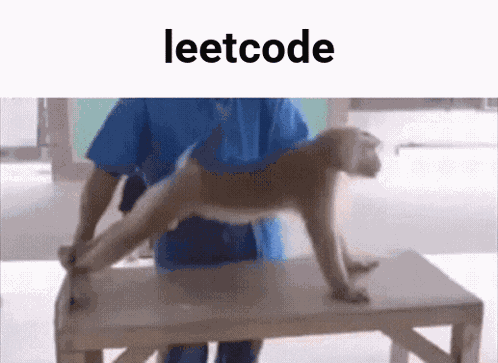 Georgia Tech Gatech GIF