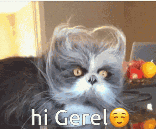 Gerel Hi Gerel GIF