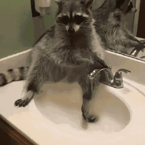 Germaphobe Wash GIF