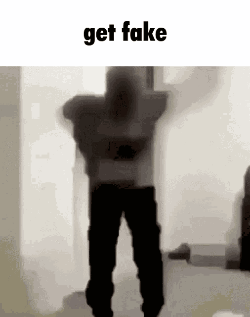 Get Fake Funny GIF